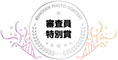 審査員特別賞