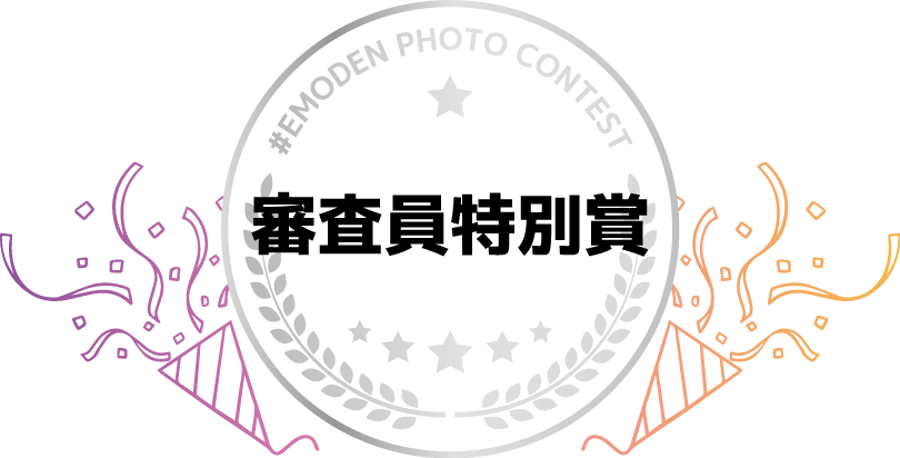 審査員特別賞