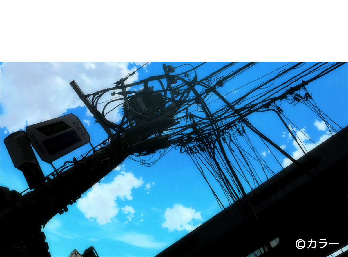 (c)カラー